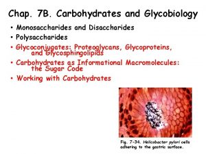 Chap 7 B Carbohydrates and Glycobiology Monosaccharides and