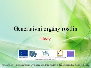 Generativn orgny rostlin Plody Tento projekt je spolufinancovn