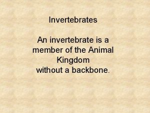 Invertebrates An invertebrate is a member of the