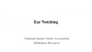 Ear Notching National Junior Swine Association Skillathon Resource