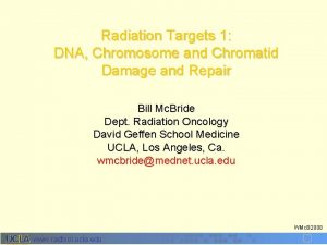 Radiation Targets 1 DNA Chromosome and Chromatid Damage Radiation Targets 1 DNA Chromosome and Chromatid Damage