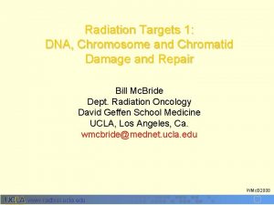 Radiation Targets 1 DNA Chromosome and Chromatid Damage