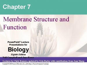 Chapter 7 Membrane Structure and Function Power Point