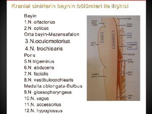 Stilofaringeus kası
