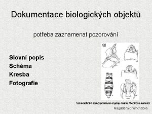 Dokumentace biologickch objekt poteba zaznamenat pozorovn Slovn popis