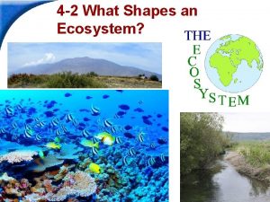 What shapes an ecosystem