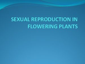 Sexual parts of flower