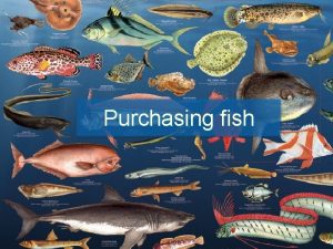 Purchasing fish Forms of Fish fresh live frozen