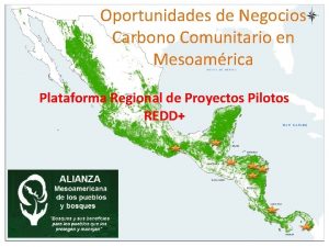 Oportunidades de Negocios Carbono Comunitario en Mesoamrica Plataforma