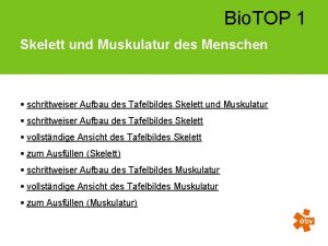 Bio TOP 1 Skelett und Muskulatur des Menschen