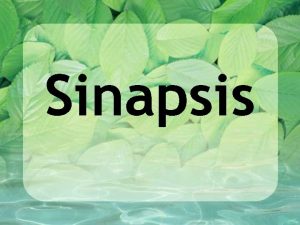 Sinapsis