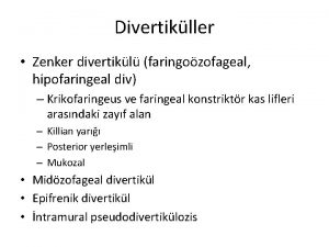 Konstriktör
