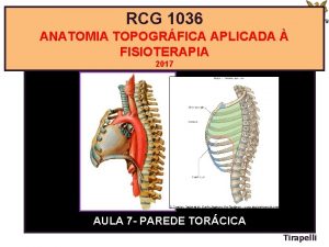 RCG 1036 ANATOMIA TOPOGRFICA APLICADA FISIOTERAPIA 2017 AULA