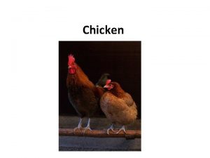 Chicken classification