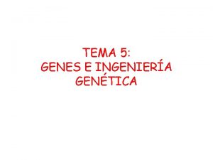 TEMA 5 GENES E INGENIERA GENTICA 1 ADN