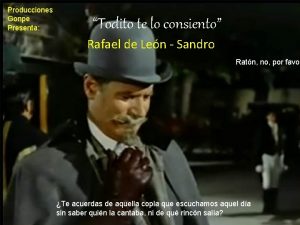 Todito te lo consiento