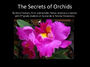 The Secrets of Orchids By Mary Erickson Ph