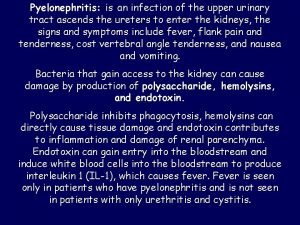 Pyelonephritis is an infection of the upper urinary