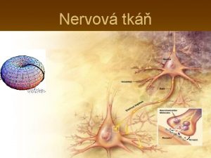 Nervov tk Obecn vlastnosti nervov tkn drdivost a