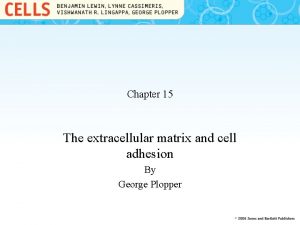 Chapter 15 The extracellular matrix and cell adhesion