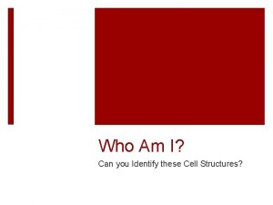 Can you identify these cell structures answer key