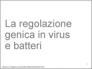 La regolazione genica in virus e batteri 1