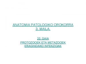 ANATOMIA PATOLOGIKO OROKORRA 3 MAILA 20 GAIA PROTOZOOEK