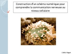 Construction dun schma numrique pour comprendre la communication