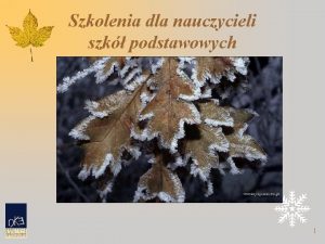 Szkolenia dla nauczycieli szk podstawowych 1 Wykorzystanie wynikw