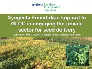 Syngenta Foundation support to GLDC in engaging the