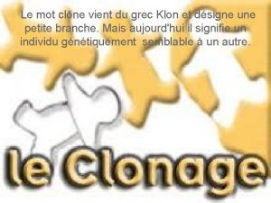 Le mot clne vient du grec Klon et