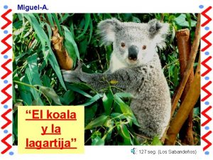 MiguelA El koala y la lagartija 127 seg