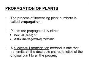 Advantages of plant propagation