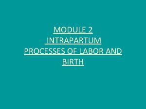 MODULE 2 INTRAPARTUM PROCESSES OF LABOR AND BIRTH