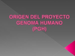 ORIGEN DEL PROYECTO GENOMA HUMANO PGH Las actividades