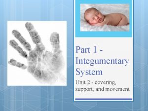 Part 1 Integumentary System Unit 2 covering support