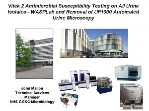 Vitek 2 Antimicrobial Susceptibility Testing on All Urine