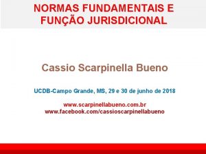 NORMAS FUNDAMENTAIS E FUNO JURISDICIONAL Cassio Scarpinella Bueno