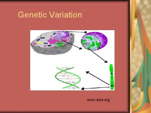 Genetic Variation www alsa org Goal To learn