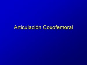 Articulacin Coxofemoral Articulacin Coxofemoral Tipo Esferoide o Enartrosis
