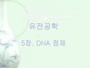 DNA purification Clear lysate DNA Pronase Proteinase Phenol