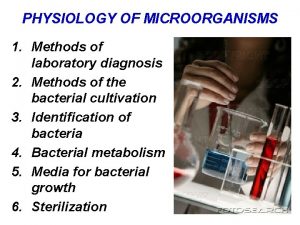 Bacteria identification