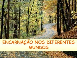 ENCARNAO NOS DIFERENTES MUNDOS 1 As nossas diversas