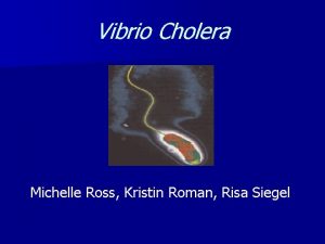 Vibrio Cholera Michelle Ross Kristin Roman Risa Siegel
