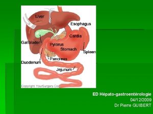 ED Hpatogastroentrologie 04122009 Dr Pierre GUIBERT Cas clinique