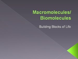 Building blocks of macromolecules