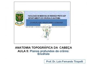 ANATOMIA TOPOGRFICA DA CABEA AULA 5 Planos profundos