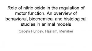 Role of nitric oxide in the regulation of