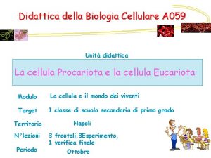 Didattica della Biologia Cellulare A 059 Unit didattica