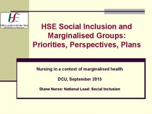HSE Social Inclusion and Marginalised Groups Priorities Perspectives